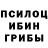 Галлюциногенные грибы Magic Shrooms CR3Z3