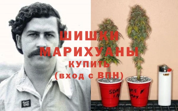 дурь Алзамай